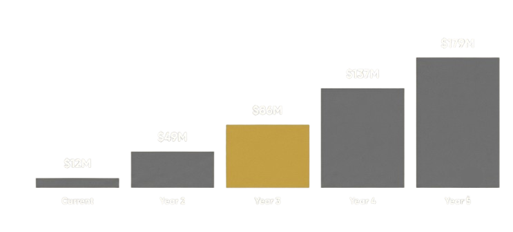 Bar graph showing financial growth over years.