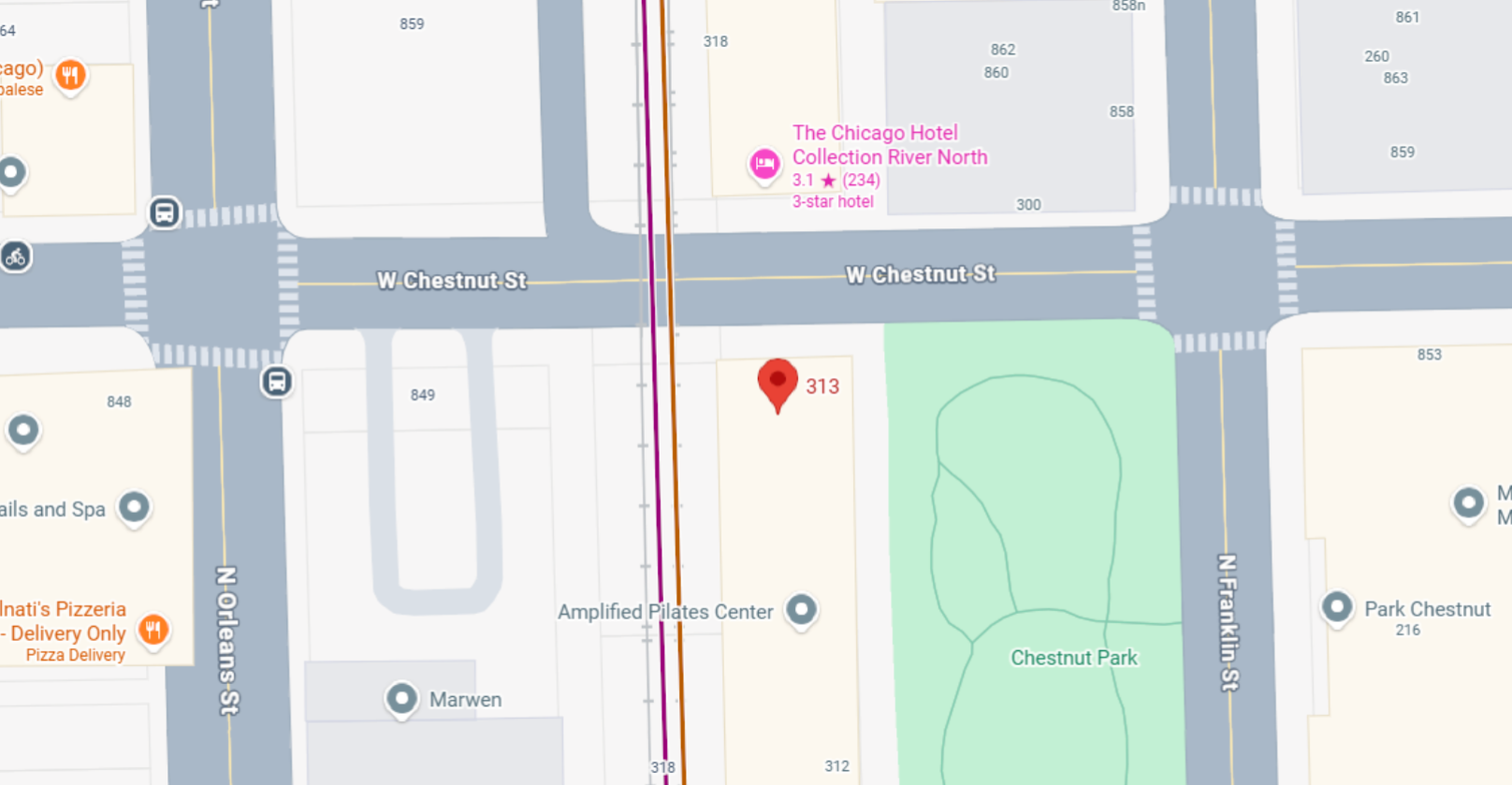 Map showing pin at 313 near Chestnut Park